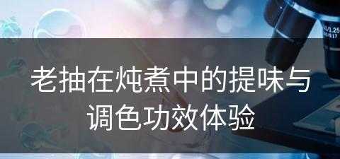 老抽在炖煮中的提味与调色功效体验